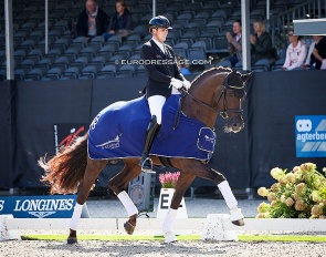 Frederic Wandres and Fashion Prinz OLD win the 5-year old preliminary test at the 2022 World Young Horse Championships in Ermelo :: Photo © Astrid Appels