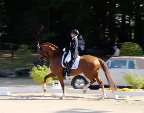 Isabell Werth and So Unique at the 2022 CDN Wuppertal :: Photo screen shot