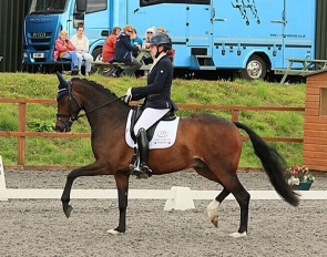 Charming Duke (by Caesar 161 x Painted Black)