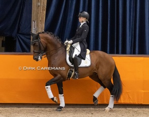 Kirsten Brouwer and Ghandi at the stallion presentation of the 2021 KWPN Stallion Licensing :: Photo © Dirk Caremans