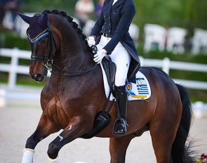 Robinvale at the 2022 CDIO Compiegne :: Photo © Astrid Appels