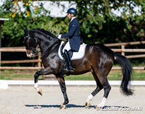 Manuel Dominguez and Quentano at the 2022 CDI Troisdorf :: Photo © Lukasz Kowalski