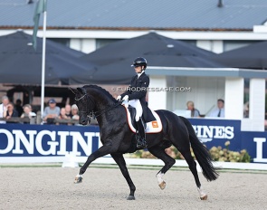 Kjento at the 2022 World Championships for Young Dressage Horses :: Photo © Astrid Appels