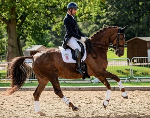 Southern Cross Braemar (by Breitling W x Fabuloso)