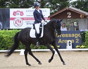 Furstenline CJS (by Blue Hors Farrell x His Highness)