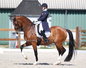 Malin Wahlkamp-Nilsson and Amplemento at the CDI Grand Prix debut in Grote Brogel in 2021 :: Photo © Astrid Appels