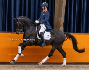 Diederik van Silfhout and Impression in the stallion show at the 2021 KWPN Stallion Licensing :: Photo © Dirk Caremans