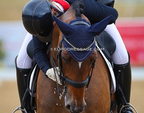 Anna Dalrymple hugging Vagabond de Massa at the end of her test at the 2022 European Young Riders Championships :: Photo © Astrid Appels