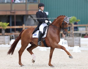 Young-Shik Hwang and Bluebarry Dream at the 2022 CDI Grote Brogel :: Photo © Astrid Appels