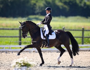 Philine Brunner and Straight Horse Don Tamino at the 2022 CDI Meerle :: Photo © Astrid Appels