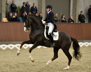 Nanna Merrald Rasmussen and Blue Hors Don Olymbrio L at the 2022 CDI Randbøl :: Photo © Blue Hors