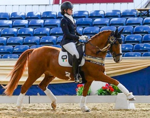 Dante Alighieri (by FS Don't Worry x FS Champion de Luxe)