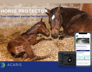 The ACARiS camera system based on Artificial Intelligence for the protection of the health and safety of your horse