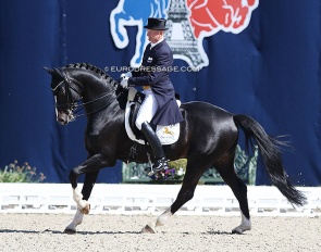 Hubertus Schmidt on Goldberg at the 2019 CDI Hagen :: Photo © Astrid Appels