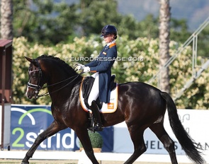 Robin Heiden and Jivando S at the 2021 European Junior Riders Championships :: Photo © Astrid Appels