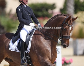 Skovborgs Romadinov at the 2021 European Young Riders Championships in Oliva Nova, ESP :: Photo © Astrid Appels