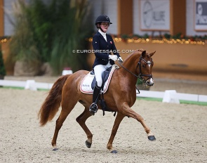 Anna Munkebo and Lyngdal's Mira Puella at the 2022 CDI Kronenberg :: Photo © Astrid Appels