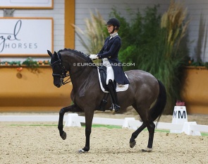 Carina Scholz and Soiree d'Amour at the 2022 CDI Kronenberg :: Photo © Astrid Appels