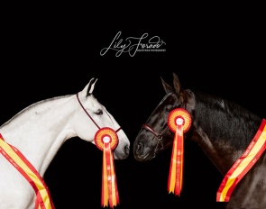 The World Champions in conformation - Elite Torreluna and Athos MOR - of 2022 SICAB :: Photo © Lily Forado