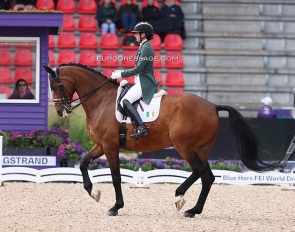 Alex Baker and Dutchman at the 2022 World Championships Dressage in Herning :: Photo © Astrid Appels