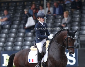 Cynthia Eggenkamp and Emotion de Saint Val at the 2019 World Young Horse Championships :: Photo © Astrid Appels