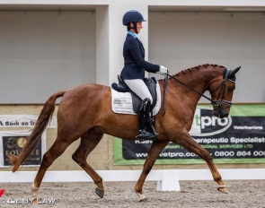 Penny Pearce-Castle on Just a Spark at the 2020 New Zealand Dressage Championships :: Photo © Libby Law