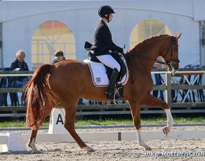 Having a horse in a correct frame in front of the vertical allows the horse to move in an anatomically neutral position :: Photo © Silke Rottermann