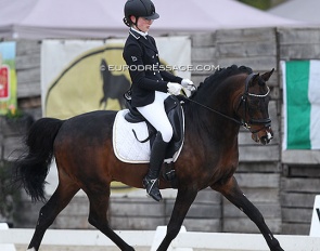 Isa Hollands and Westerhuis Zorro at the 2021 CDI Sint-Truiden :: Photo © Astrid Appels