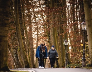 Gestüt Eulenhof in Dülmen, Germany