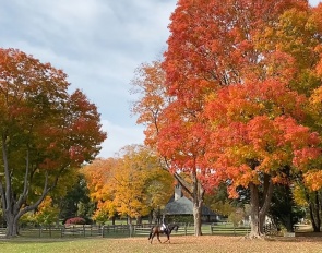 Tuny Page riding at Aquila Farm in Hamilton, MA