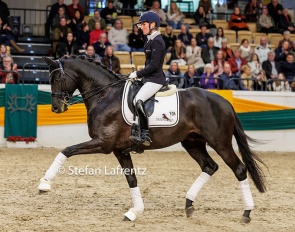 Helen Langehanenberg and Kwahu at the stallion show during the 2022 Trakehner Stallion Licensing :: Photo © Stefan Lafrentz