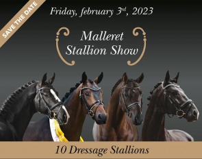 Stallion show at Haras de Malleret on 3 February 2023, featuring Helen Langehanenberg and Manuel Dominguez