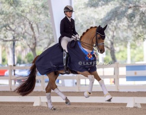 Morgan Barbançon and Deodoro win the 2023 CDI West Palm Beach Grand Prix :: Photo © Lily Forado