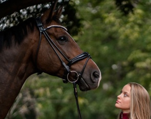 Sammy d'Amour (by San Amour x Wolkentanz II)