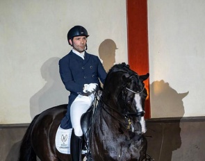 Manuel Dominguez and Danciano de Malleret at the first Haras de Malleret private stallion show on 3 February 2023 :: Photo © Karen Chaplin 