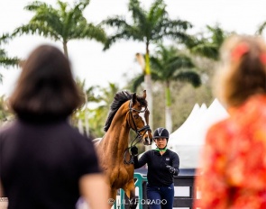 Belgian based Thai rider Suphakamol Vuntanadit trotting up Dreamboat BCN at the 2023 CDI-W Wellington :: Photo © Lily Forado