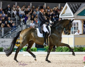 Frederic Wandres and Bluetooth at the 2023 CDI-W Wellington :: Photo © Sue Stickle