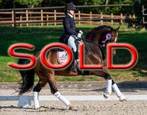 SOLD SOLD SOLD