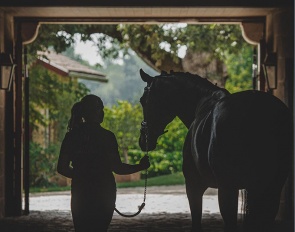 Haras de Malleret, a horse heaven in France