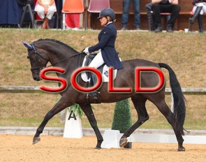 SOLD SOLD SOLD