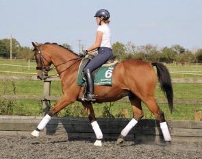 Louise Robson on Quadrille. This TB is bred and owned by the late HM Queen Elizabeth, and placed 2nd at Ascot before he became a winning Inter I horse under Robson.