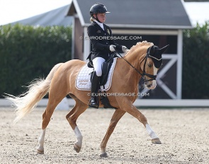 Wilma Holmgren and Casino Royale K at the 2022 CDI Sint-Truiden :: Photo © Astrid Appels