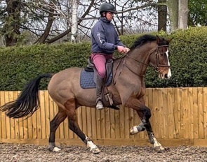 Jonty Evans riding at home, preparing for his para dressage debut