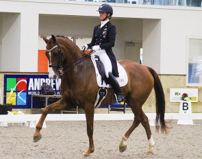 Melissa Galloway and Windermere J'Obei W at the 2023 CDI Taupo :: Photo © Your View Photography
