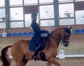 Semmieke Rothenberger and Farrington at the 2023 Piaff Forderpreis selection trial :: screen shot