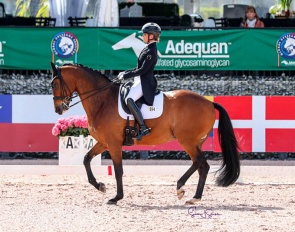 Morgan Barbancon and Bolero at the 2023 CDI Wellington :: Photo © Sue Stickle