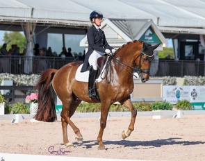 Morgan Barbancon and Habana Libre A at the 2023 CDI Wellington :: Photo © Sue Stickle