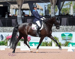 Fiona Howard and Solitaer at the 2023 CPEDI Wellington :: Photo © Sue Stickle