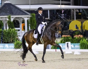Frederic Wandres and Bluetooth at the 2023 CDI 5* Wellington :: Photo © Sue Stickle