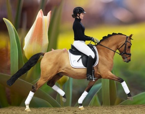 Ponyforum Spring Online Pony Auction from 16 - 27 March 2023